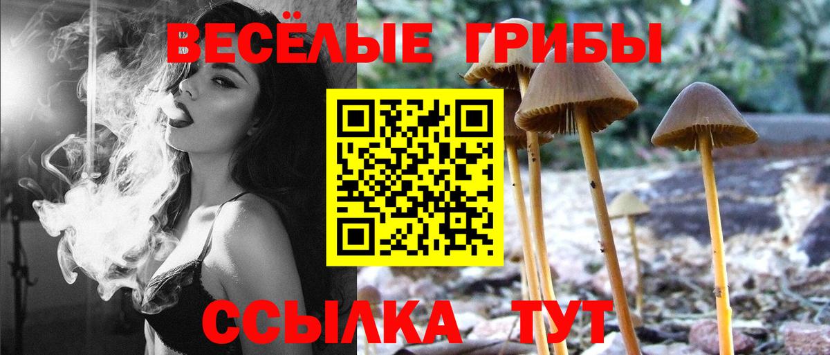 Галлюциногенные грибы Magic Shrooms  Вход с VPN  Сергиев Посад  Галлюциногенные грибы Psilocybine cubensis 