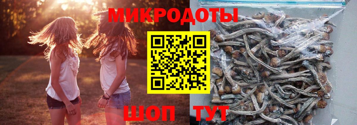 Псилоцибиновые грибы мицелий Сергиев Посад